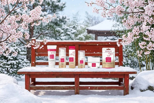 Routine PREMIUM Hada Labo Tokyo :  Rituel Japonais d’Exception pour Peaux Sèches